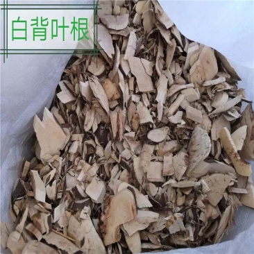《白背根》鲜干货！接预定，纯根