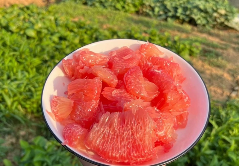 蜜柚