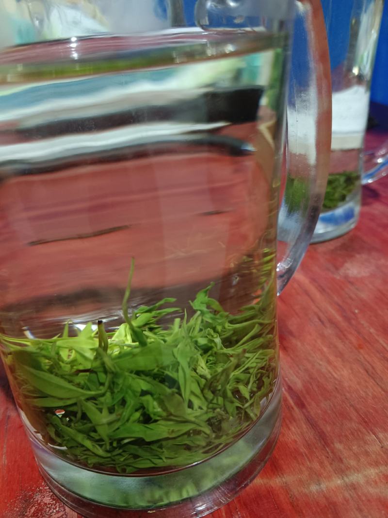 小叶苦丁茶，大量供应，自然晒干，质量保证，精品