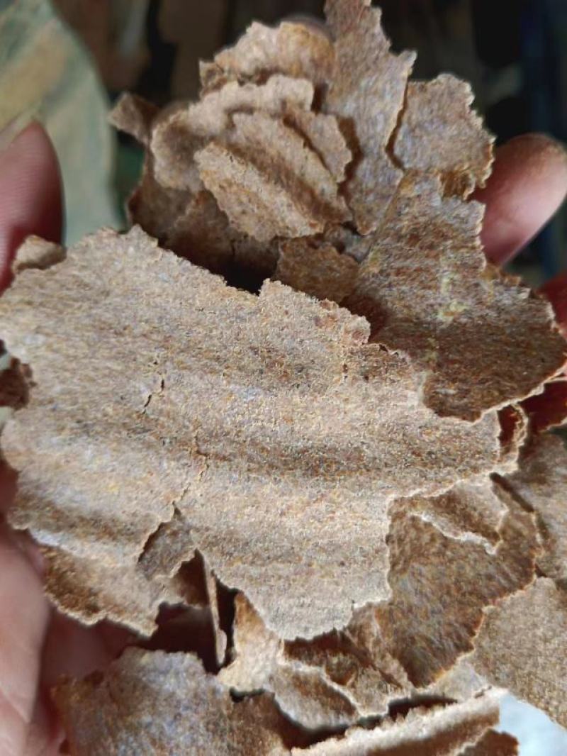 江西精品花生麸基地直发量大从优欢迎客商电联