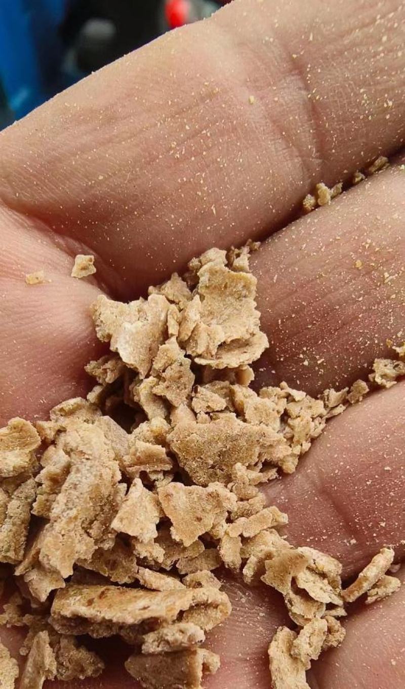 江西精品花生麸基地直发量大从优欢迎客商电联