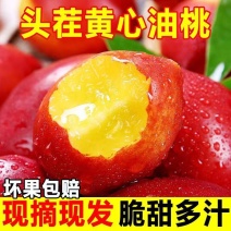 山东露天油桃(精选)中油油桃大量上市中可代发货欢迎定购