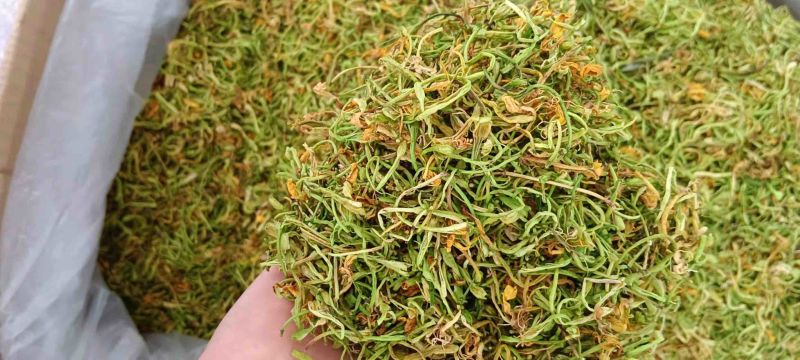 广西中药材金银花品质保证诚信经营欢迎联系货真价实