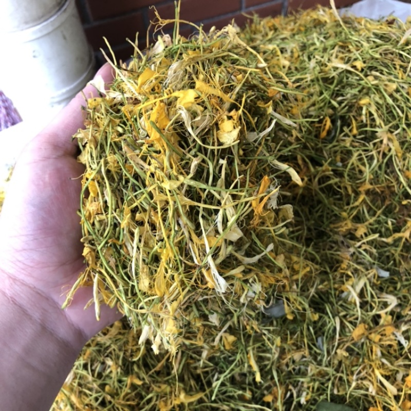 中药材金银花