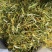 中药材金银花