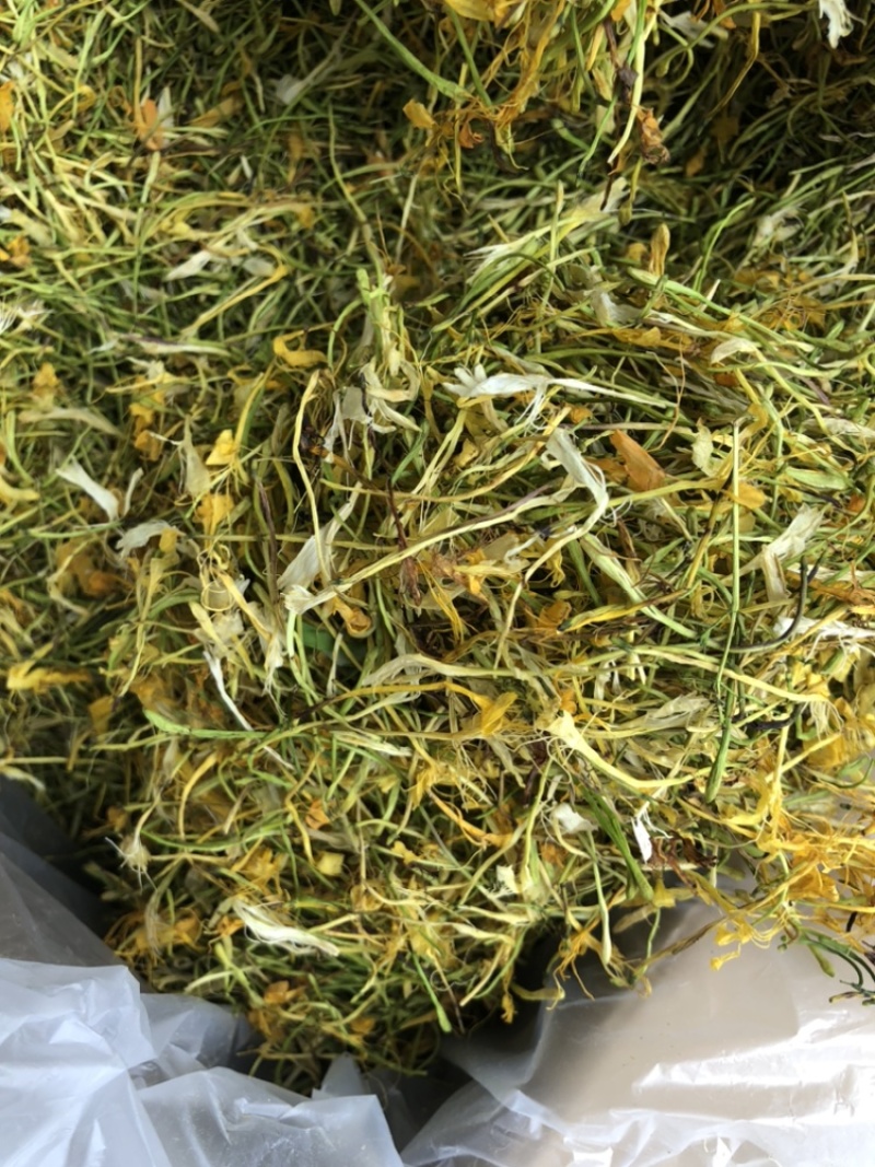 中药材金银花