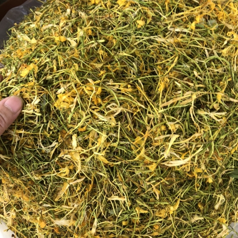 中药材金银花