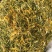 中药材金银花