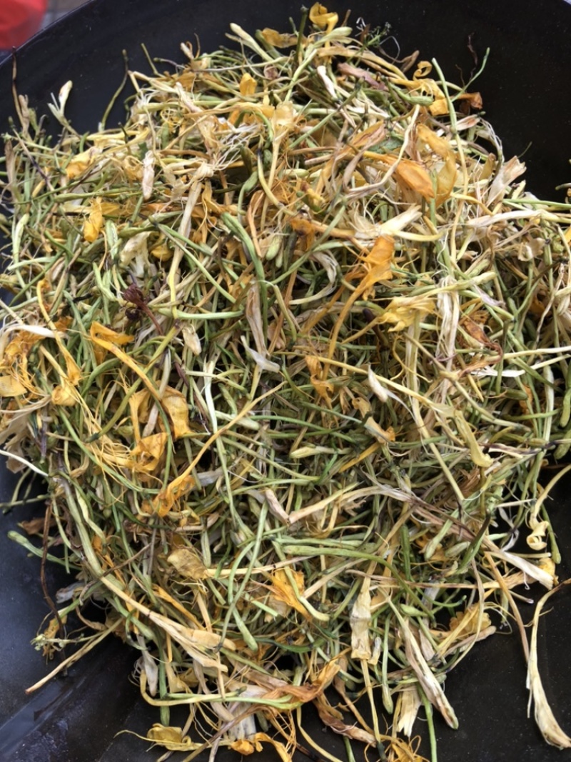 中药材金银花