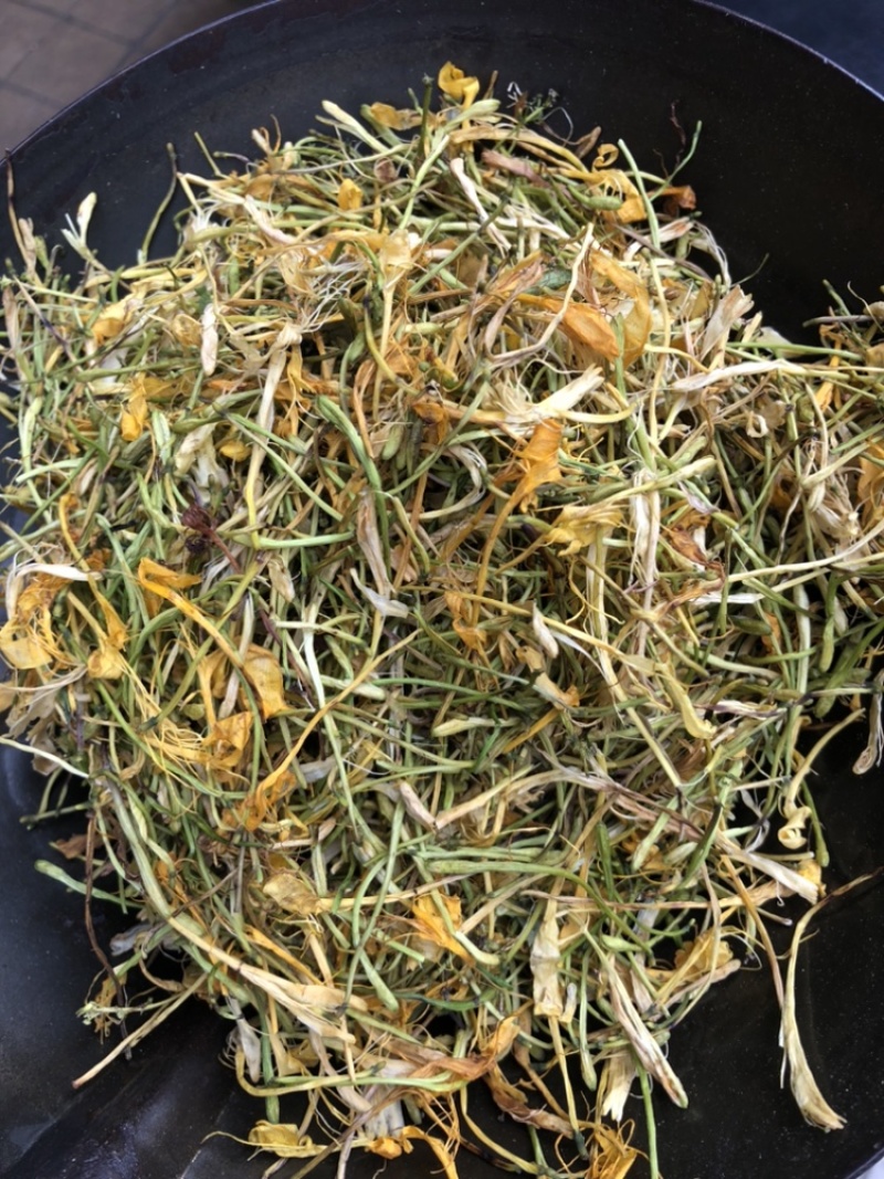 中药材金银花