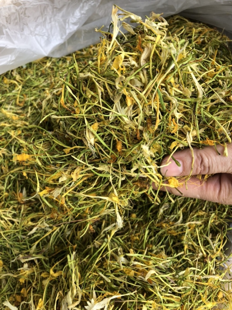 中药材金银花