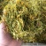 金银花