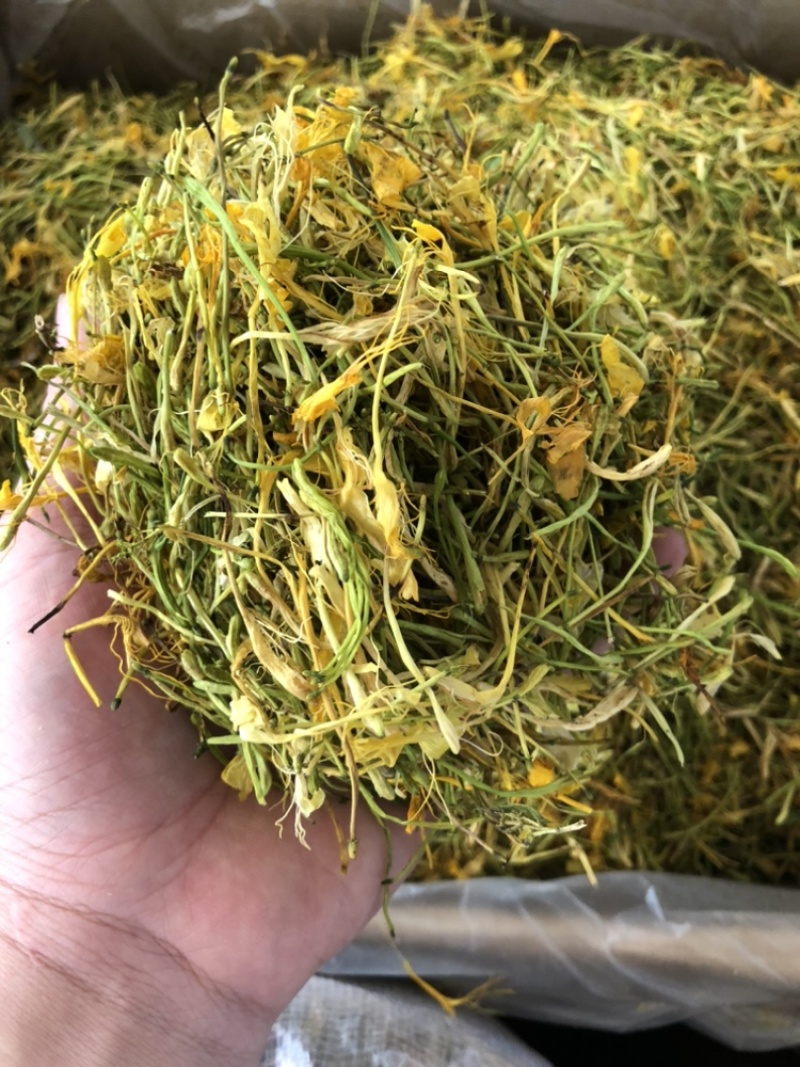 金银花