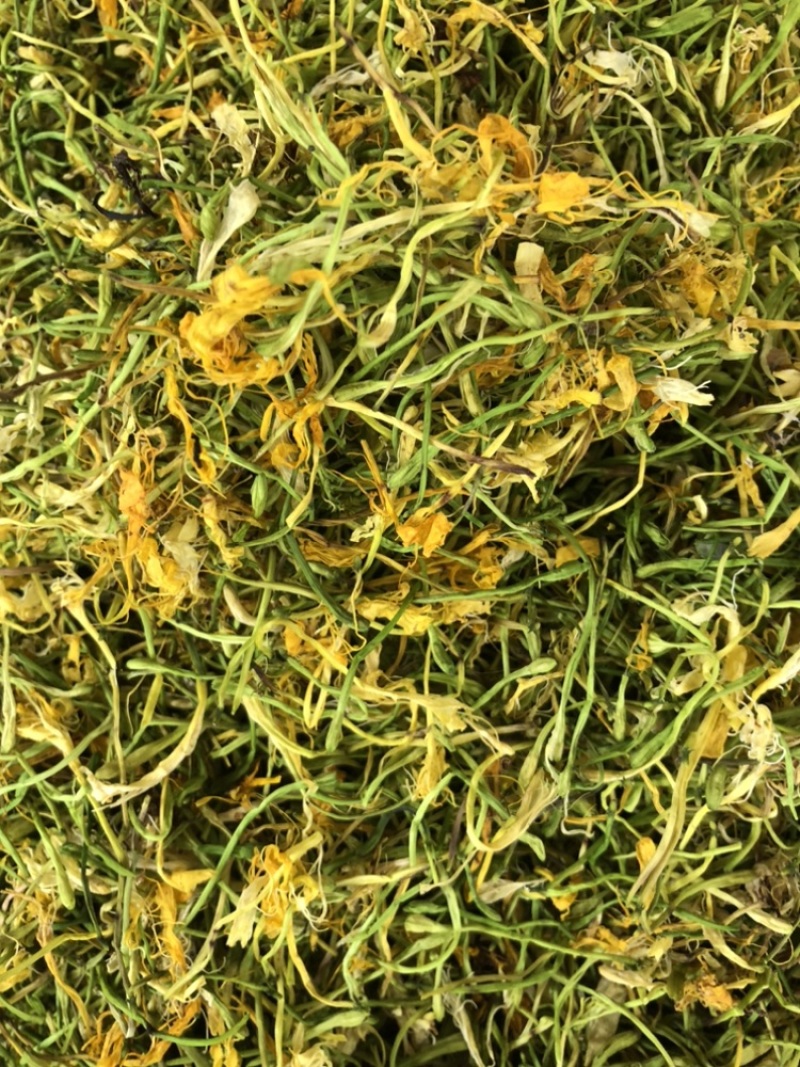 金银花