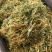 金银花