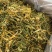 金银花