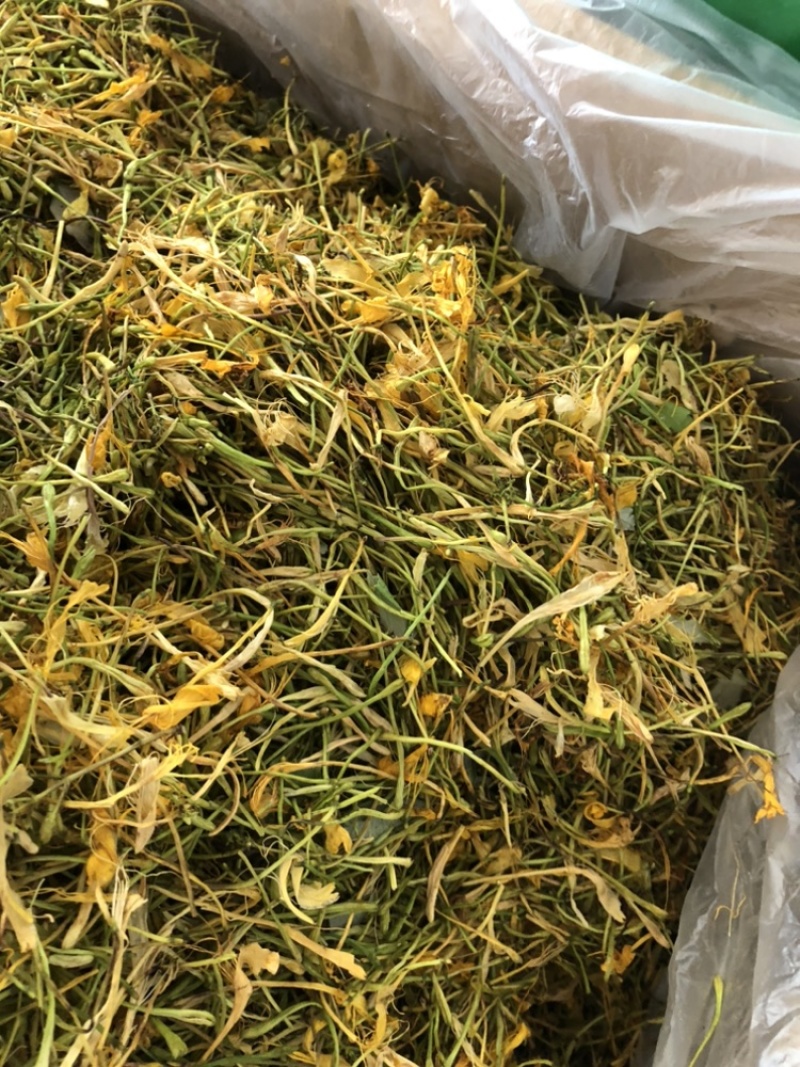 金银花