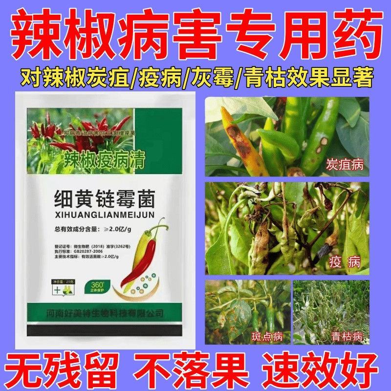 辣椒疫病清炭疽灰霉枯萎青枯根腐疮痂软腐疫病病毒细黄链