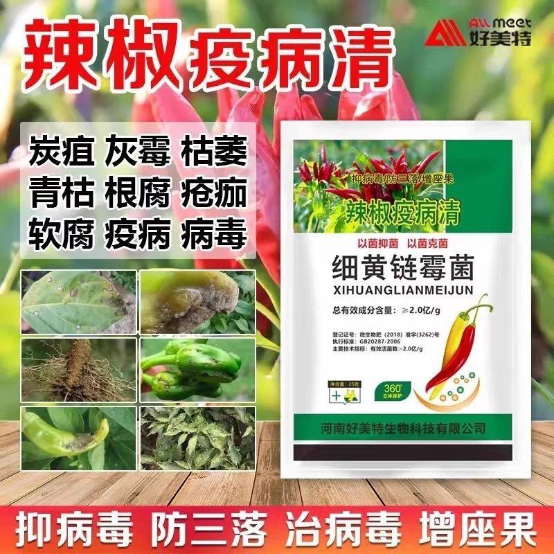 辣椒疫病清炭疽灰霉枯萎青枯根腐疮痂软腐疫病病毒细黄链