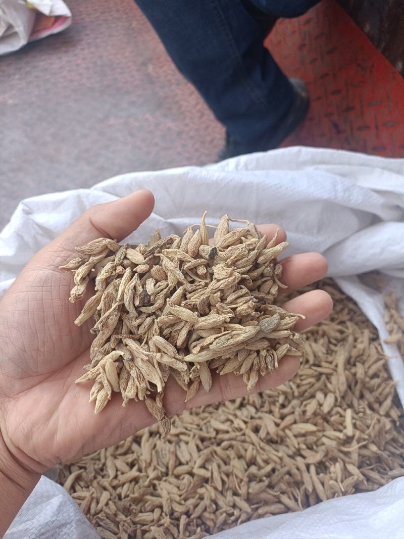 全国供应麦冬规格齐全电话咨询欢迎