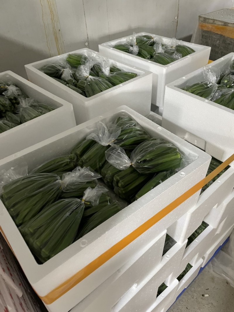 现货水果秋葵[现摘现发很嫩]