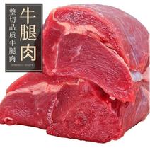 牛肉批发牛腿肉牛腱子牛排骨大量有货冷鲜品质保证