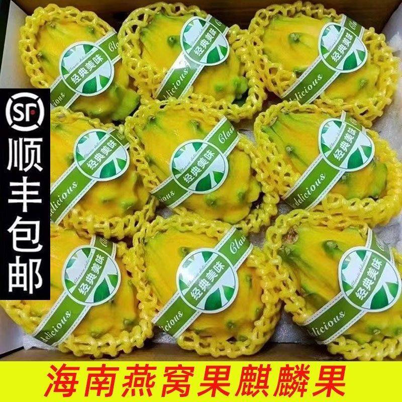 海南燕窝火龙果麒麟果黄皮超甜对接一件代发商超