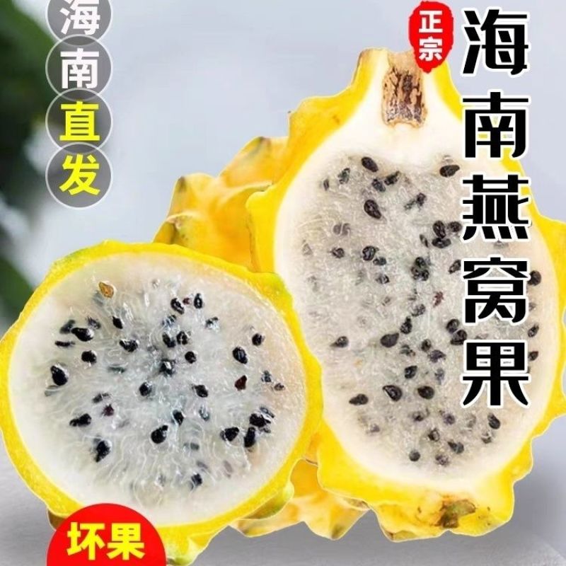 海南燕窝火龙果麒麟果黄皮超甜对接一件代发商超