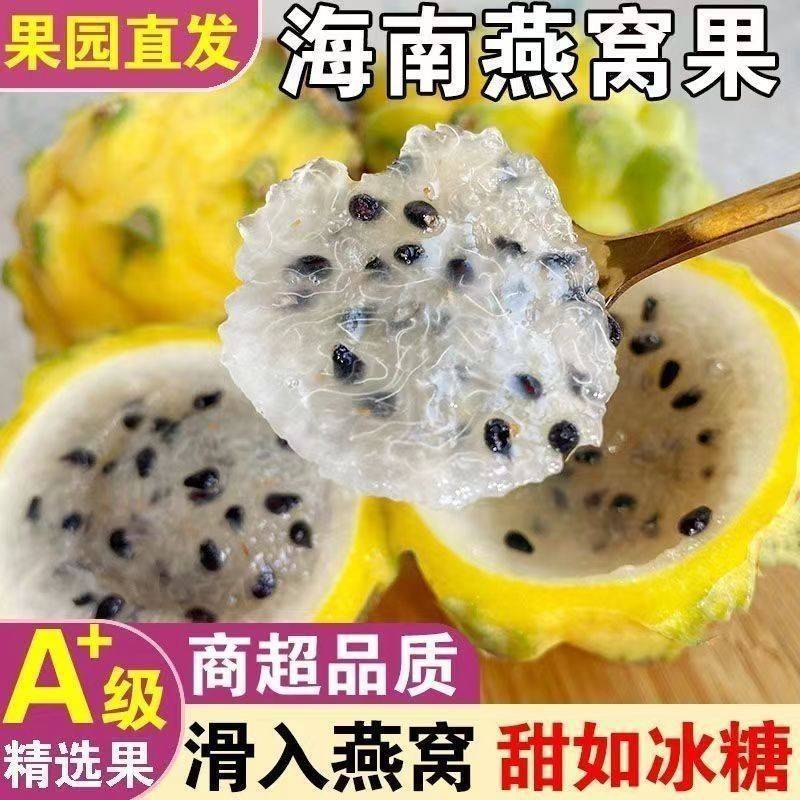 海南燕窝火龙果麒麟果黄皮超甜对接一件代发商超