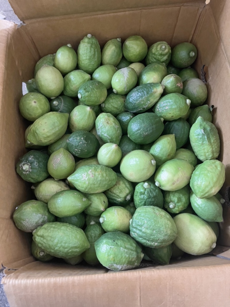 广东香水柠檬二级果