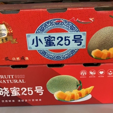 【晓蜜】哈密瓜西周蜜25号甘肃民勤沙漠蜜瓜黄河蜜瓜批发