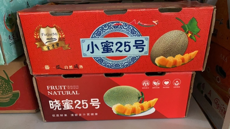 【晓蜜】哈密瓜西周蜜25号甘肃民勤沙漠蜜瓜黄河蜜瓜批发
