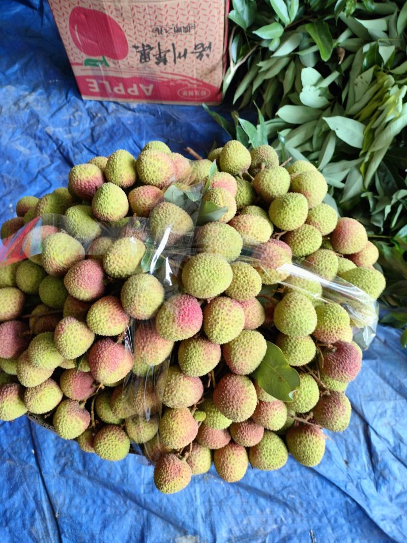 妃子笑荔枝