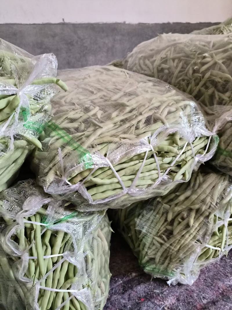 新野精品四季豆