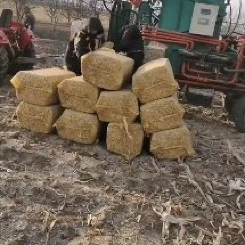 玉米秸秆