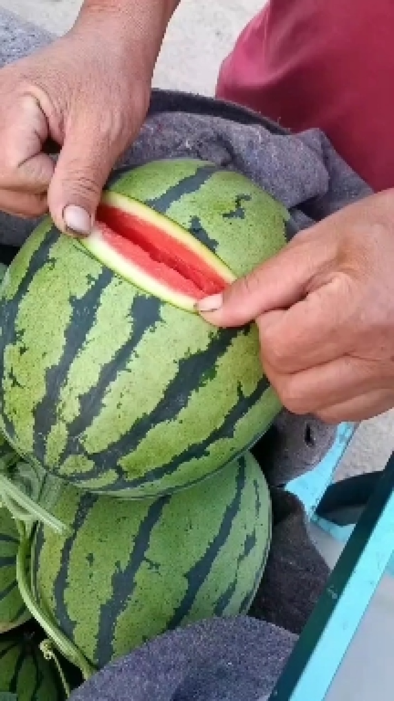 万亩大棚甜王西瓜大量上市熟度高皮毛漂亮甜度高八斤打底
