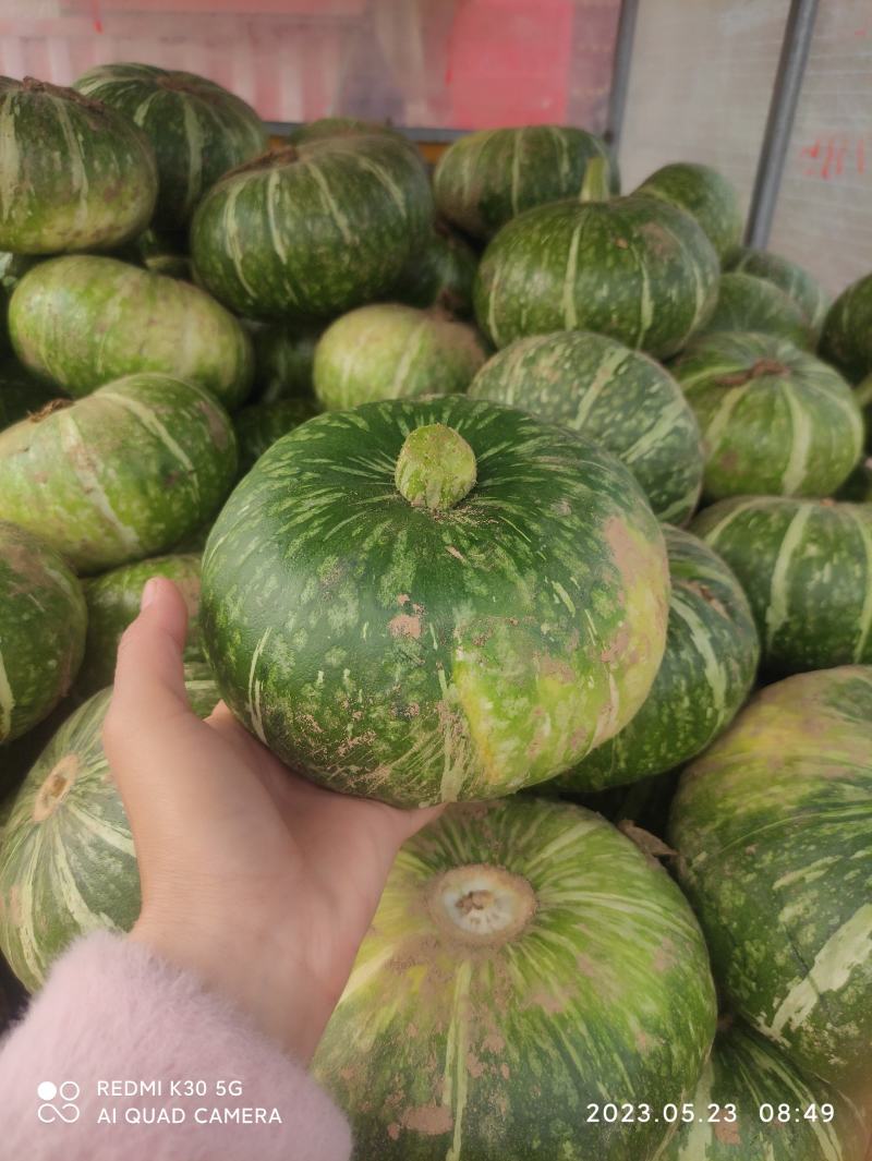 新野香糯贝贝南瓜