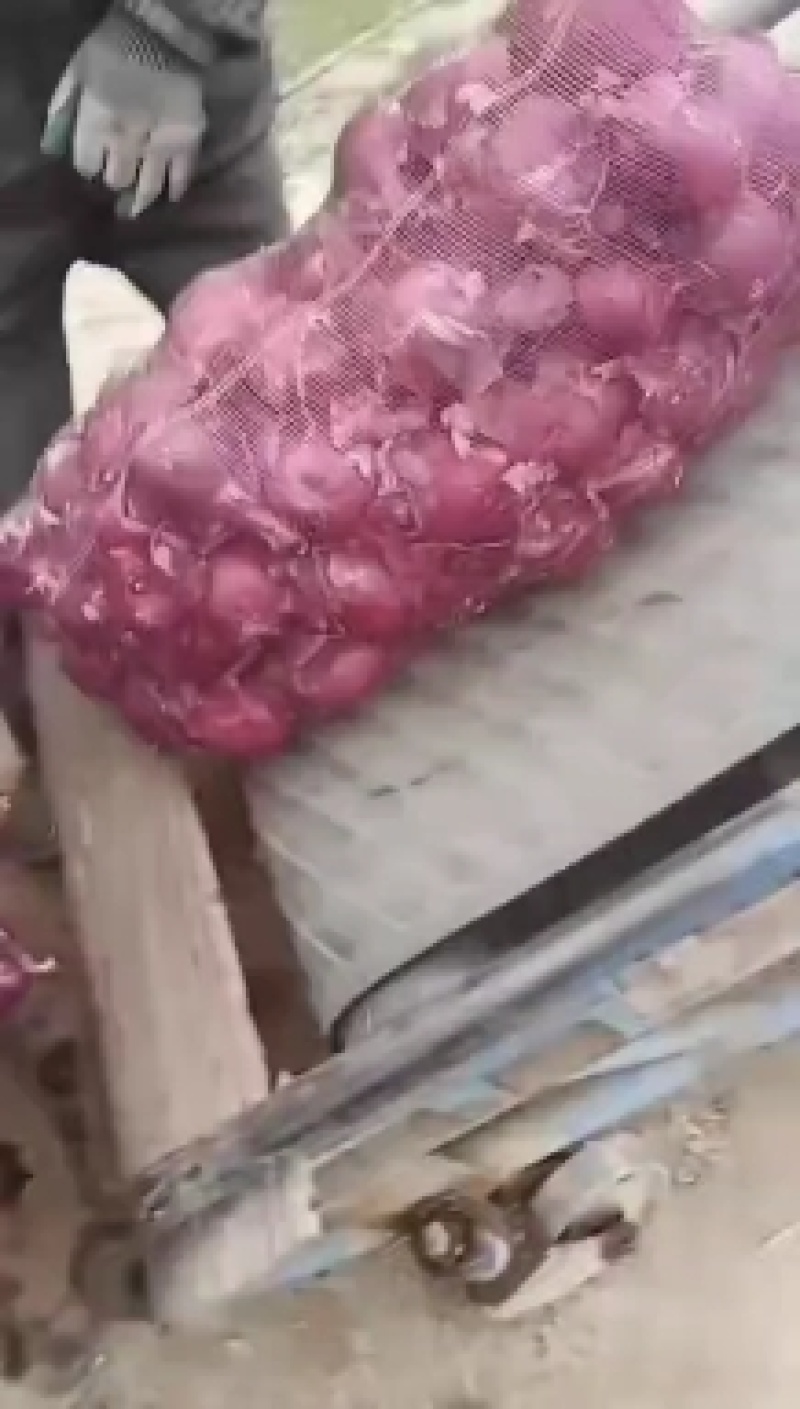 河北蔬菜基地红皮洋葱大量现货出，质量有保证价格合理，交通