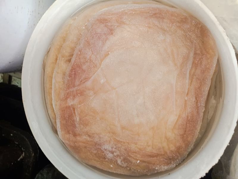 江苏连云港海蜇头脆爽可口，产地直发可常年供货