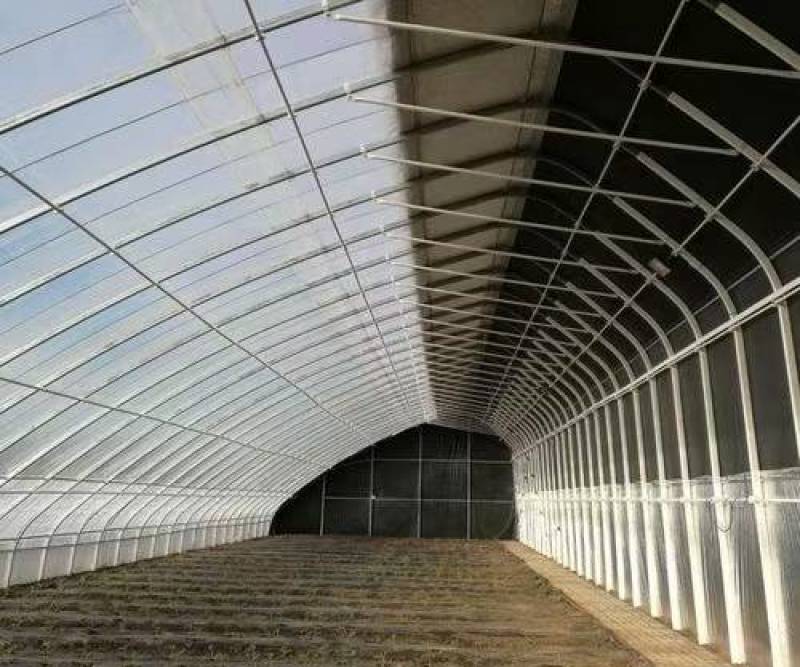 钢结构养鸡大棚保温隔热钢管建设温室蔬菜种植观光大棚