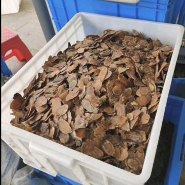 红参片东北长白山产地发货一手货源批发红参次片无糖各种规