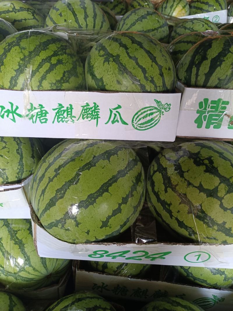 产地直供美都，麒麟瓜
