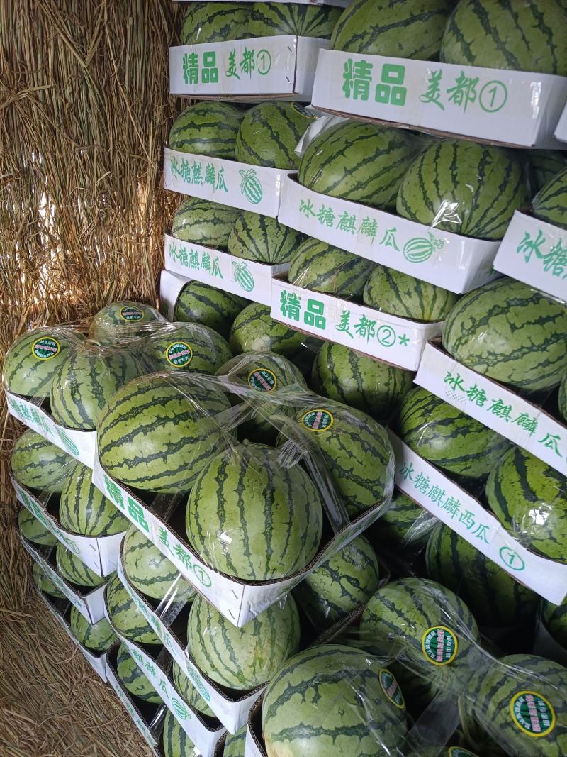 产地直供美都，麒麟瓜