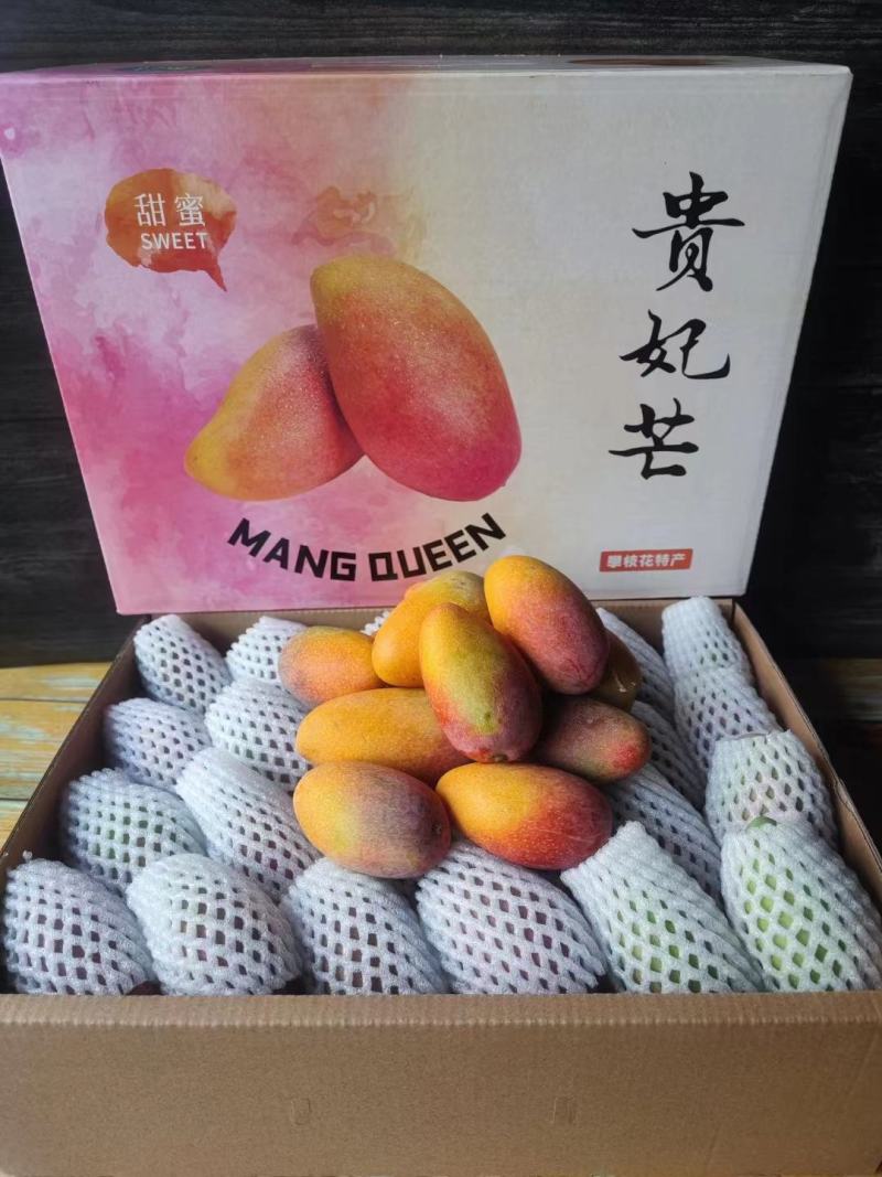 四川精品贵妃芒