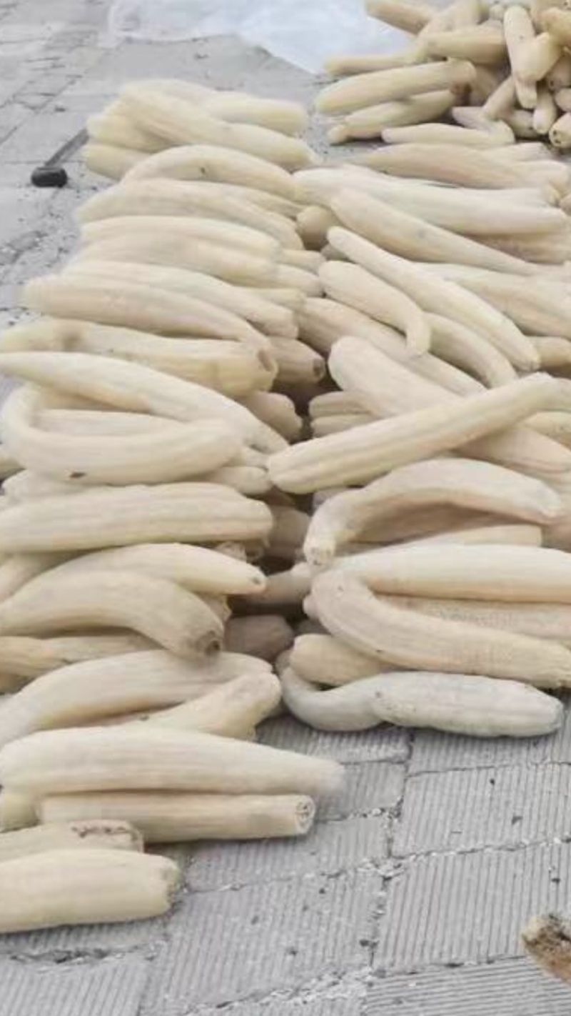 丝瓜络软瓜洗碗神器50一斤50斤起批