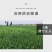 兰月根团吲丁诱抗素植物生长调节剂生根剂缓苗扦插移栽