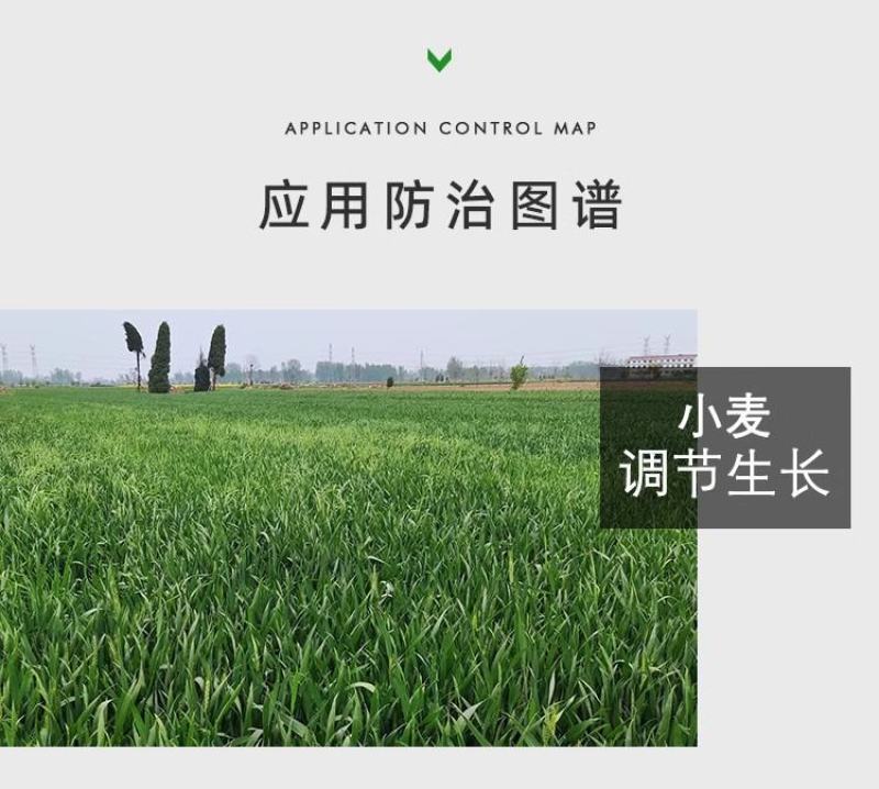 兰月根团吲丁诱抗素植物生长调节剂生根剂缓苗扦插移栽