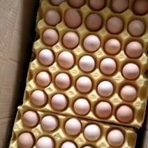粉壳土鸡蛋初产蛋，包邮！最有营养的开窝蛋，就像牛初乳一样