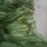 大量高山原产地优质粽叶供，有需要的老板请联系。