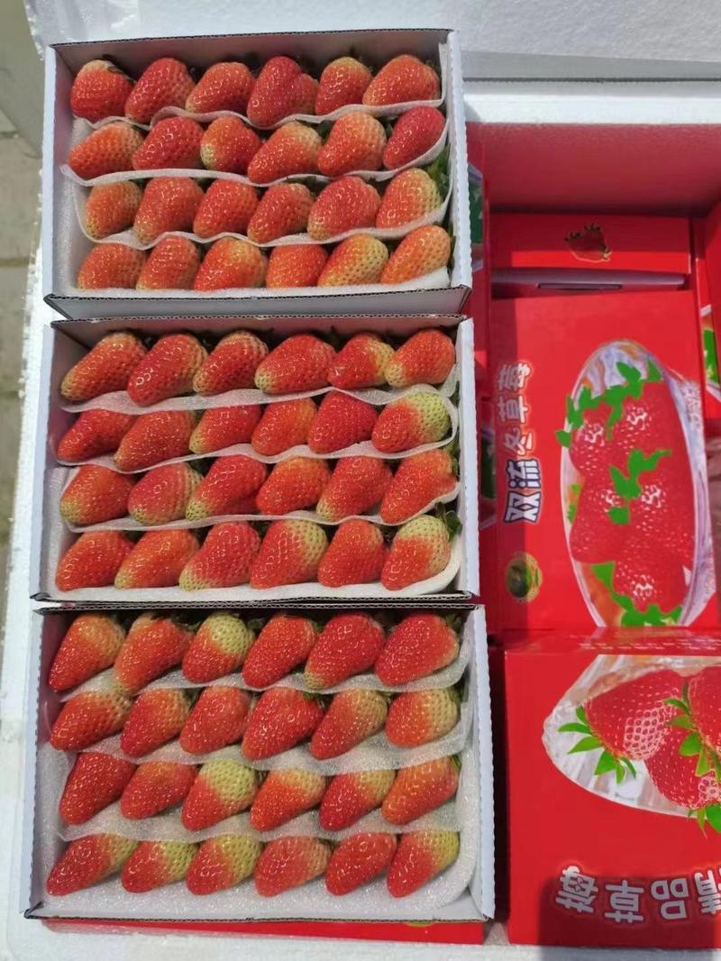 云南曲靖四季草莓现大量上市，量大从优，欢迎咨询！